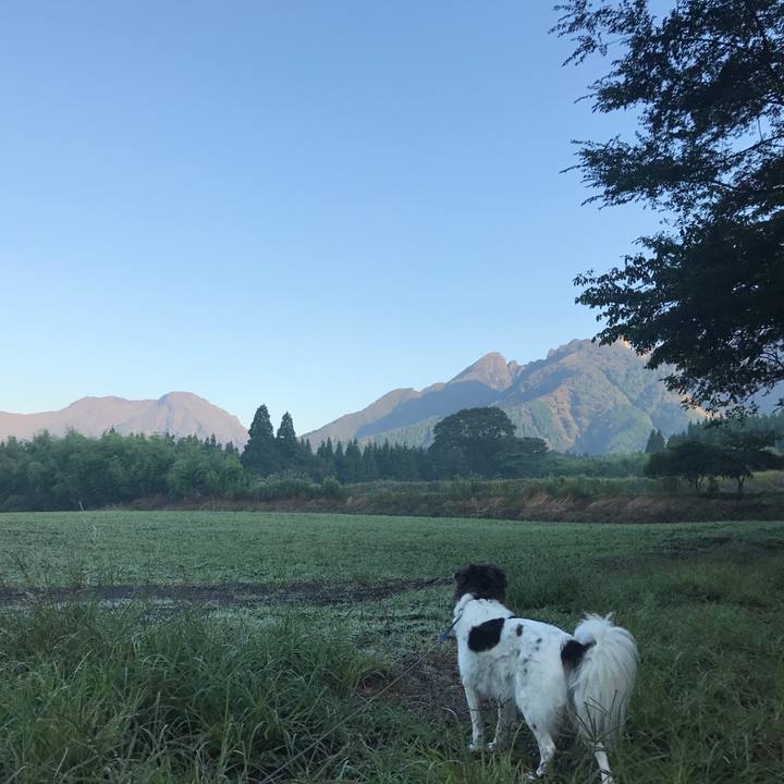 Eeab69cf dce8 4530 9f3c a005cd27f395 1538572118930