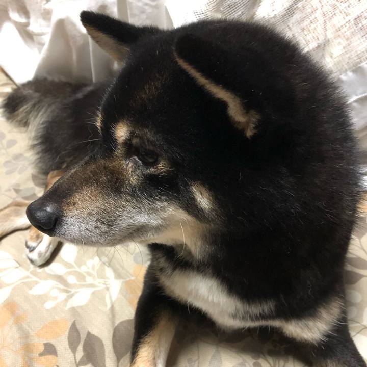 Eeaba460 c208 4f06 9483 ae3f8b065498 1550438634119