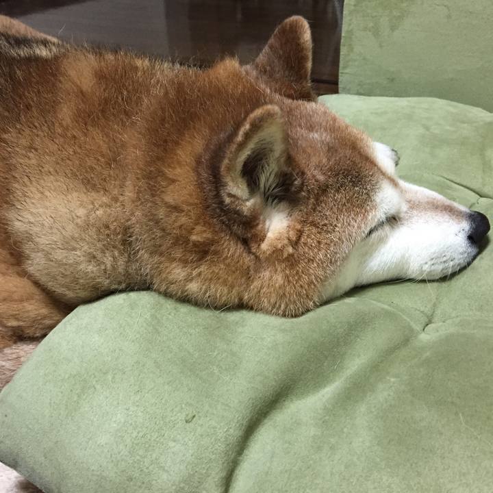 Eeabb143 e1fb 4006 a36b b7d54c9131c9 1553954486812