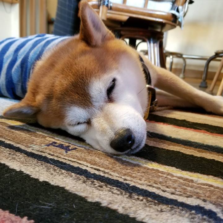 Eeabb44c eb60 46e3 a344 faaa62ec3e94 1579911274765