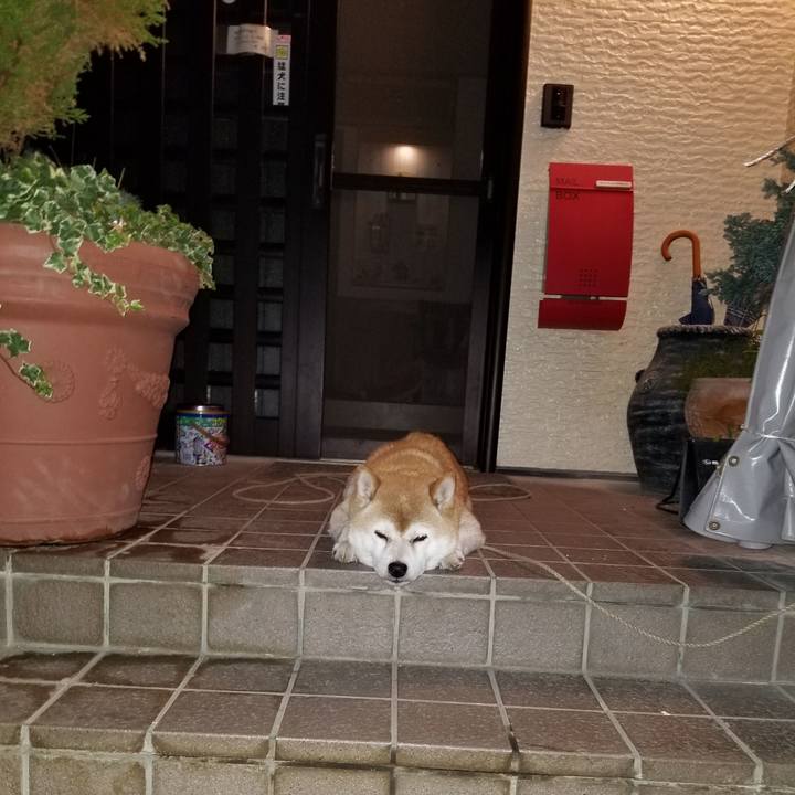 Eeabc5e7 d54a 43e0 a895 982e92908c67 1627216124891