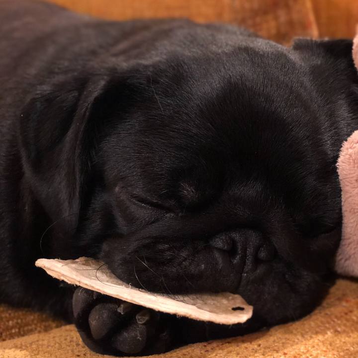 Eeabd16f 2423 4e93 bbeb 967fb454e93a 1611188741790