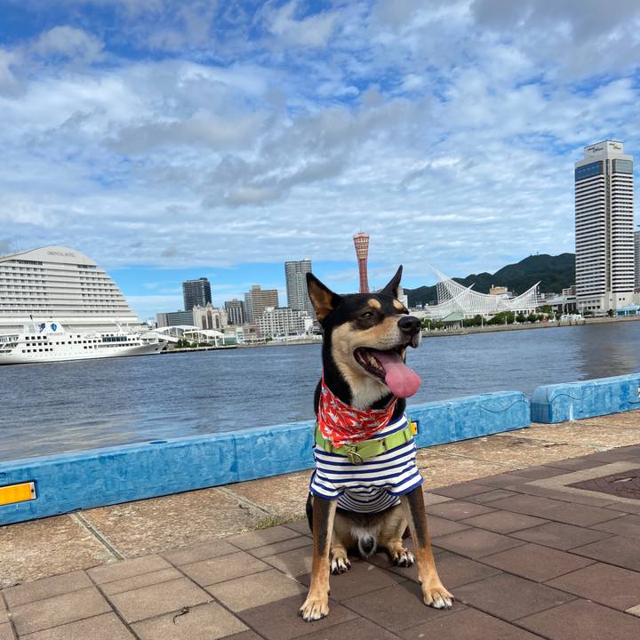 Eeabd1a5 2444 41b8 aed8 95ada10cea35 1628324828427