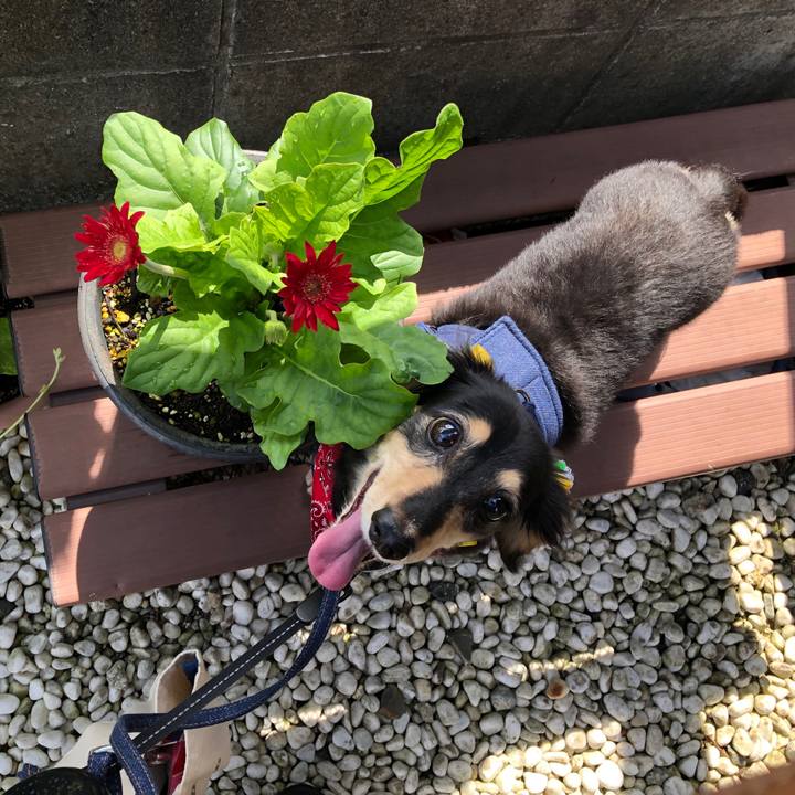 Eeabea08 858b 4b59 a88d 7c12f1c4bd95 1593649749175