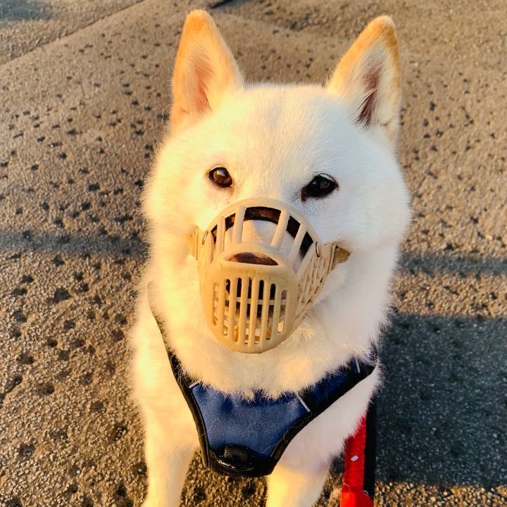 Eeabfe4a e550 4c27 954d d603acee775a 1652818058274