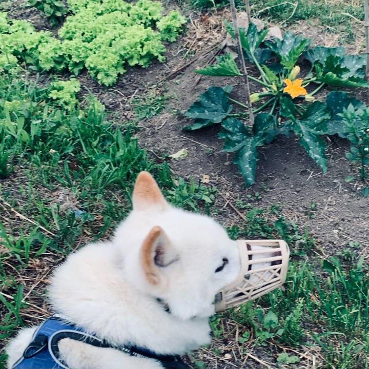 Eeac3513 9554 414f 8480 97044e2424fa 1623962208904