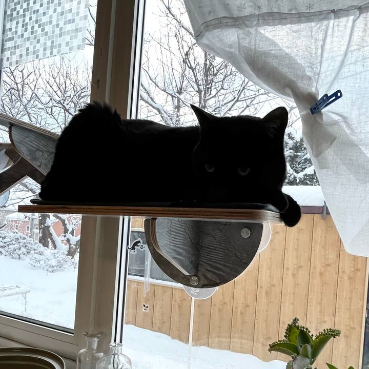 Eeac5597 e4f0 460b 910a dd03104d735a 1703802793161