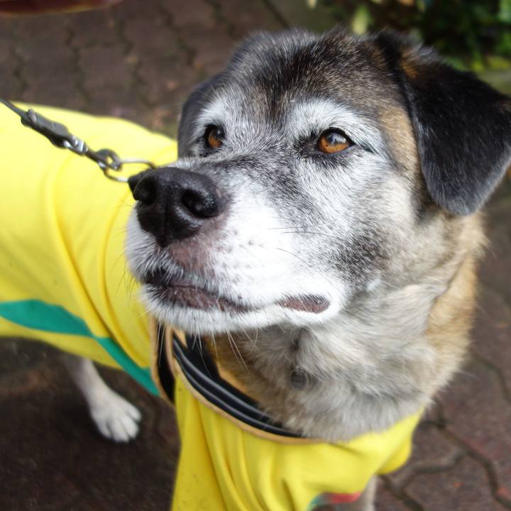 Eeac848b 17d6 421c 9dc5 65993d8ac141 1649465504594