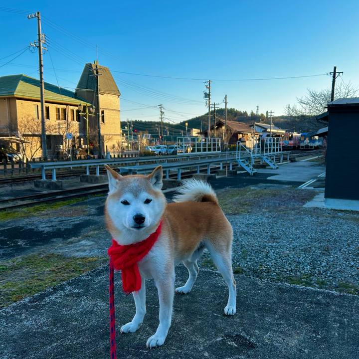 Eeac930d 775f 47b9 9288 cf0cca97a96e 1767697319390