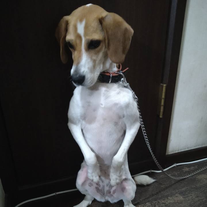 Eeaca48e 20a9 44d0 a180 9ab1ea013166 1626777927962