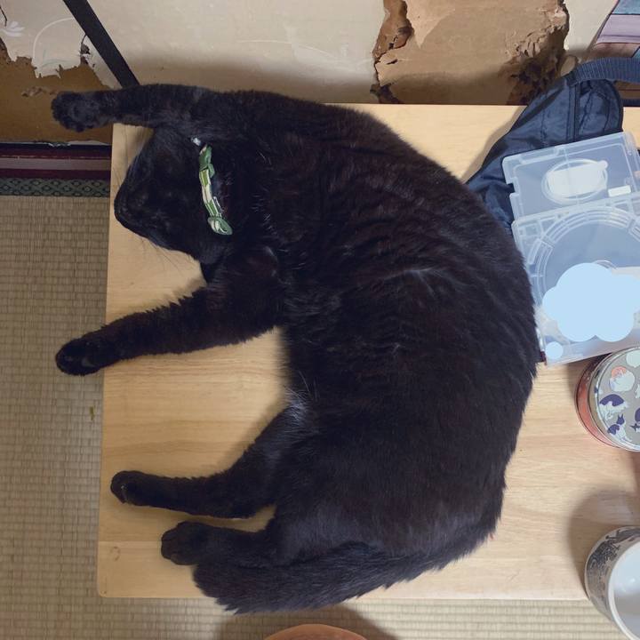 Eeacb7e9 3cab 4087 aa1d 5d0eaae45c0d 1564197343340