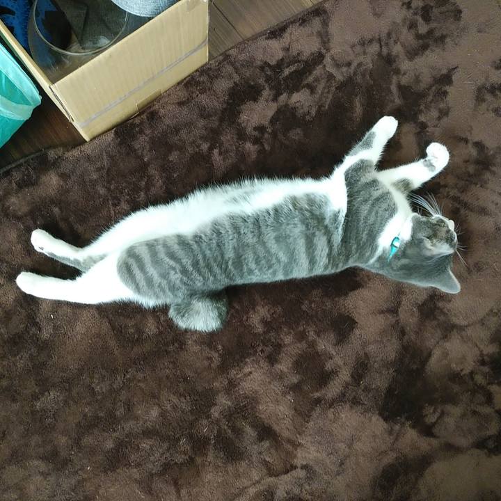 Eeace9cf c910 46d3 a6fe 27962338e418 1577147787453