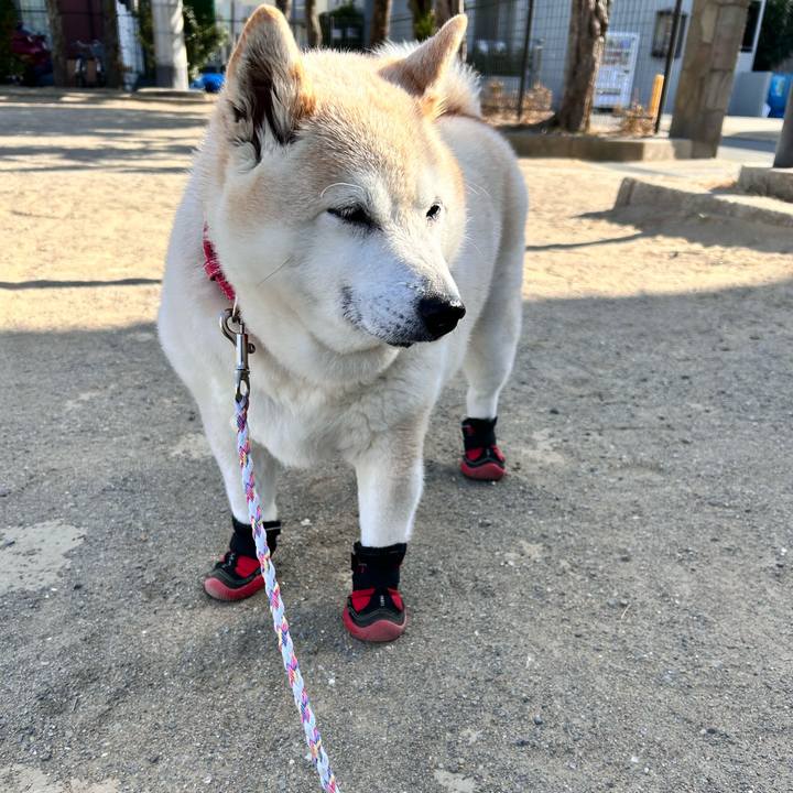 Eeacf87b ce21 4776 964d e26502b5c7b3 1739947354962