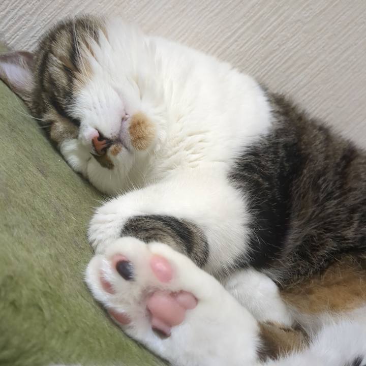 Eead358f 7350 4b8b af39 edde1db83342 1754468114898