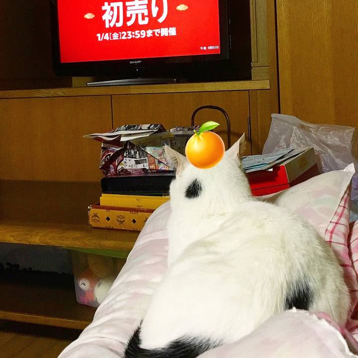 Eead481b 67bf 4401 8d0a 9bc500b01bbb 1546779931009