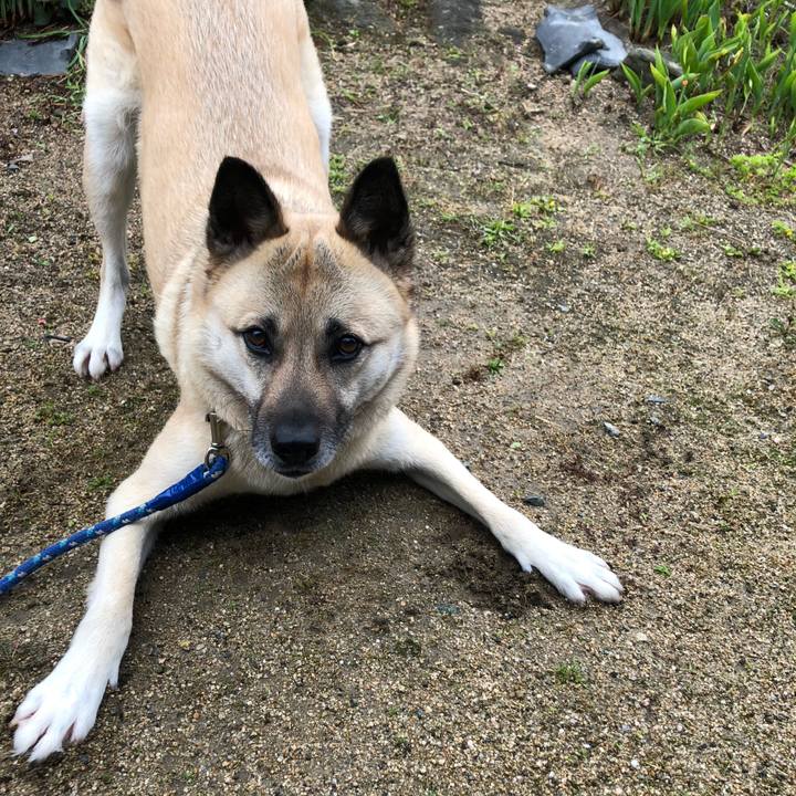 Eead546d 9302 4ef9 9cfd 2ede9c5dcf11 1587384013843