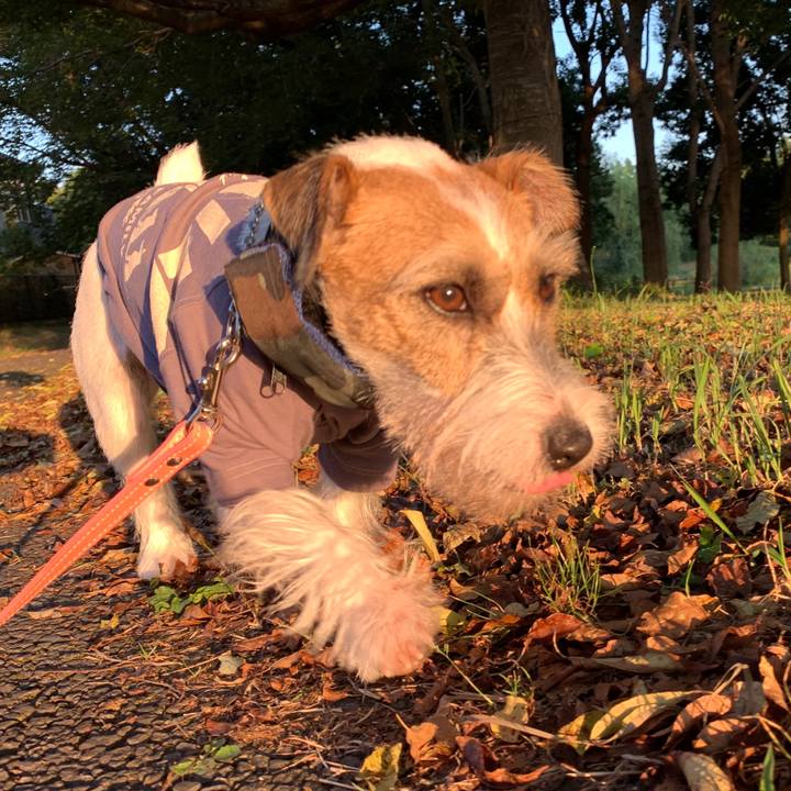 Eead5a72 39e8 4702 afff 2c9bd26ae3e0 1598349151111