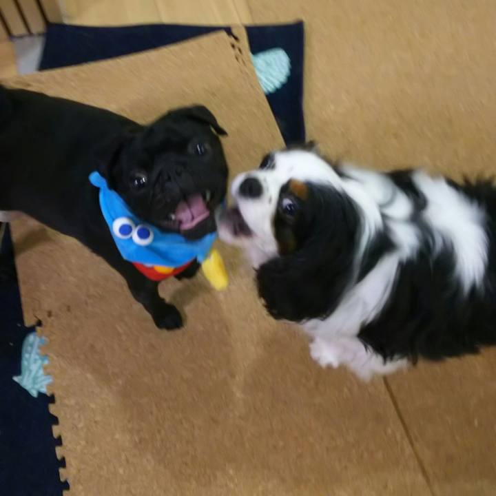 Eead5cc5 9760 4569 bfbd 4c80b302381b 1531136586376