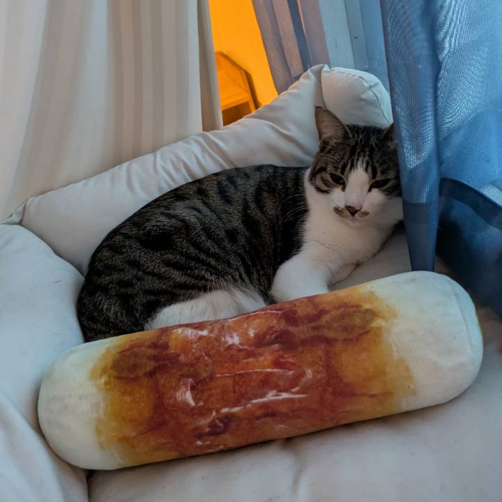 Eead6eec 05ac 4581 8447 314d659665f5 1774137316230