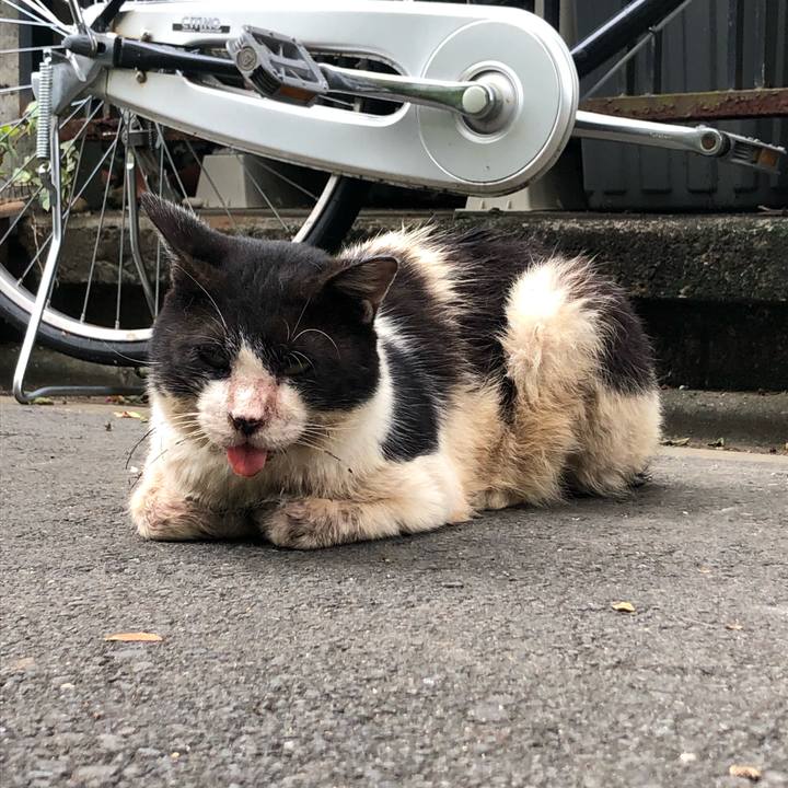 Eead717b b347 4d26 834f 0381e751edee 1568616114042