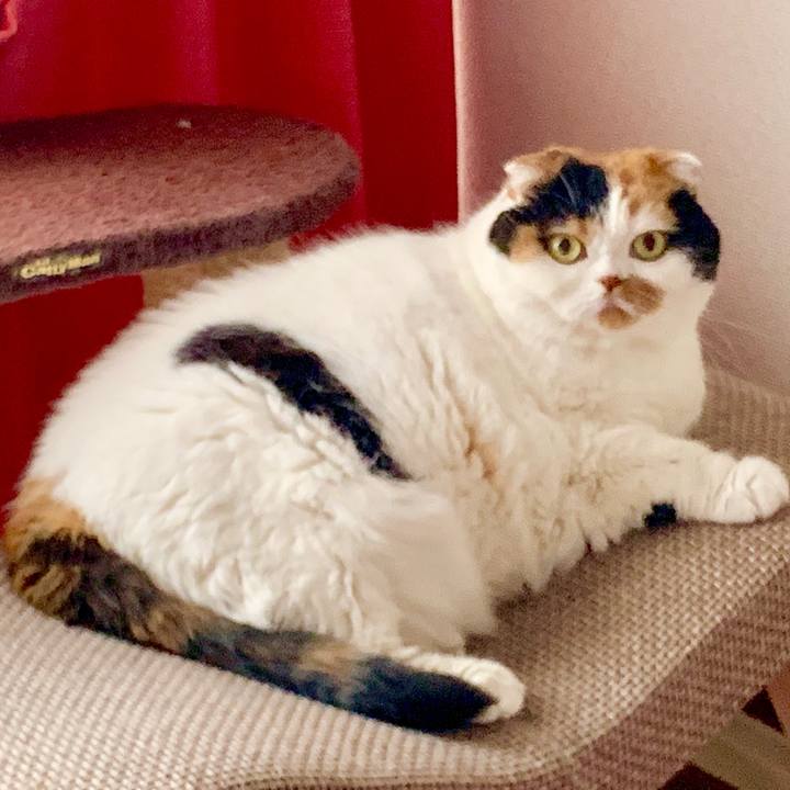 Eead73fe bd58 46cb 9559 b2bc2fbf5080 1569710255615