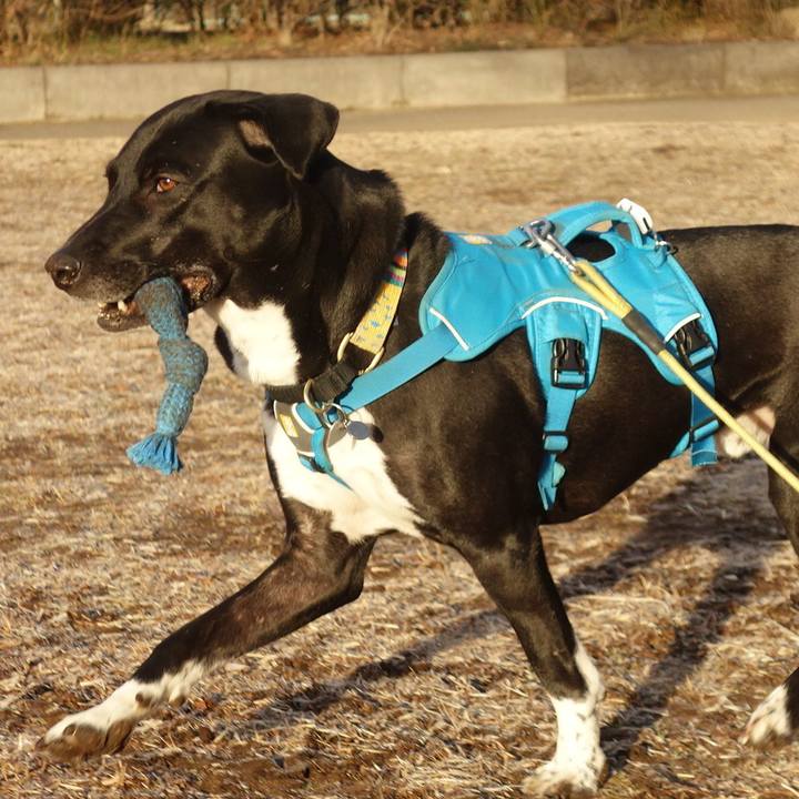 Eead9817 82c9 4d10 94ae 0c72990f6387 1612915835157