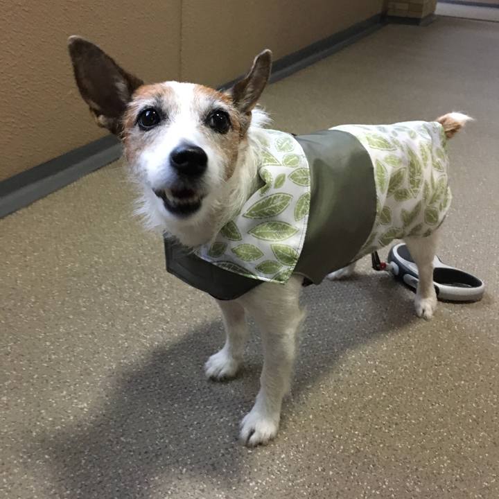 Eeadd106 270a 4e0a bfe2 c8f0427eb06f 1633044285873