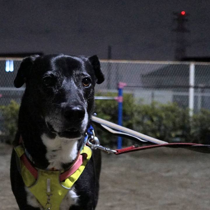 Eeade87f 230e 4f0b bbe0 6a672c5e253d 1773658669248