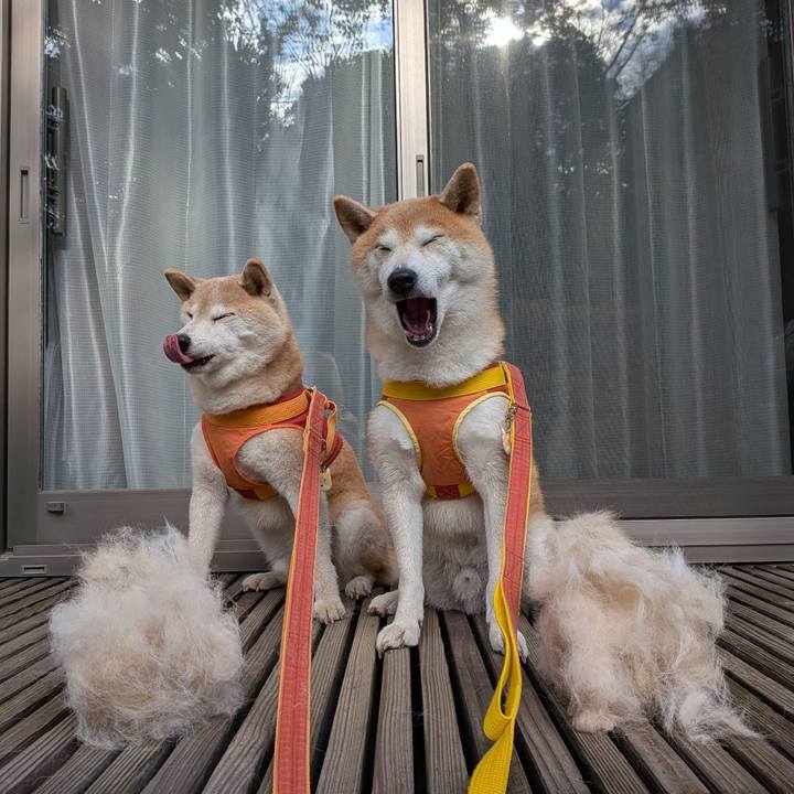 Eeadfa62 48bd 4fd1 941b 678ef5b8f157 1765423127226