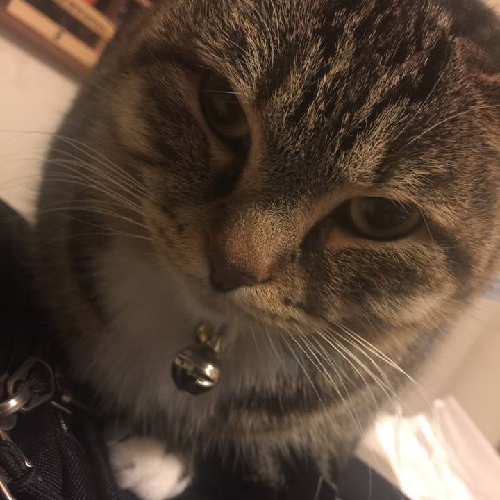 Eeae0861 ed8a 430b a730 398702599694 1550157636140