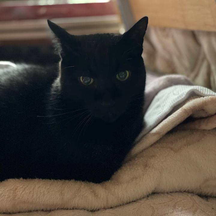 Eeae54b6 f325 468c b448 002c136ad56d 1637544979523