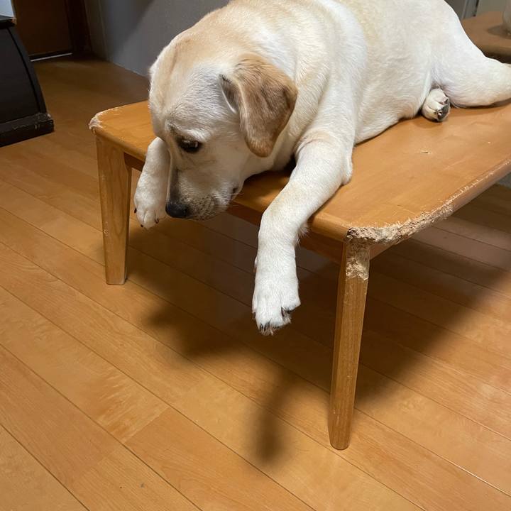 Eeae981d 56ea 41e2 96cb 75048566af91 1632227605263