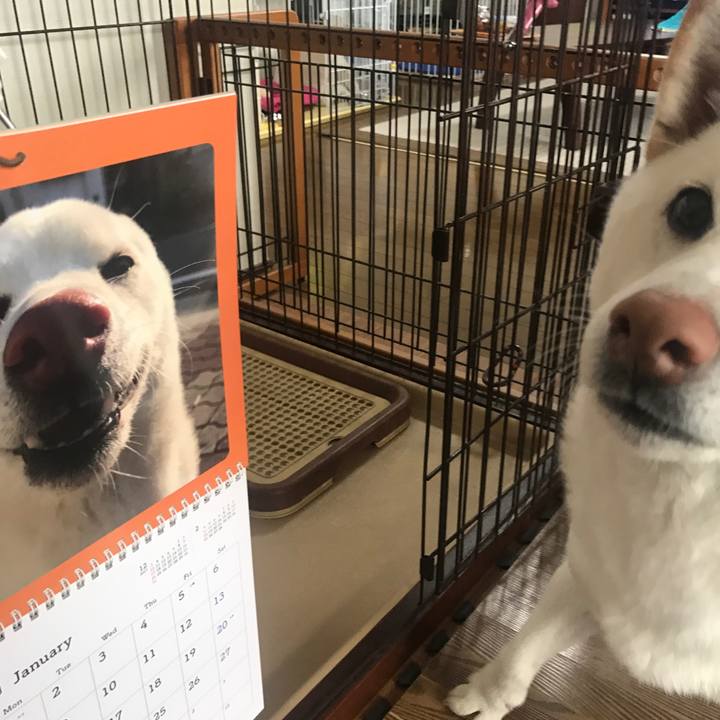 Eeaf002d abaf 4ad1 a000 f199cc89185b 1514092135683