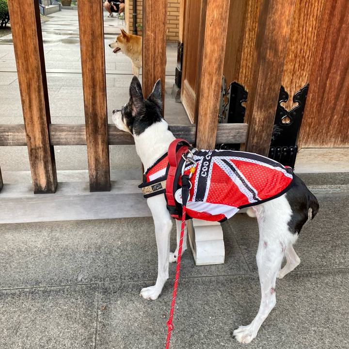 Eeaf4f92 9ae7 43a8 8570 f766d5aceeb3 1633771595313