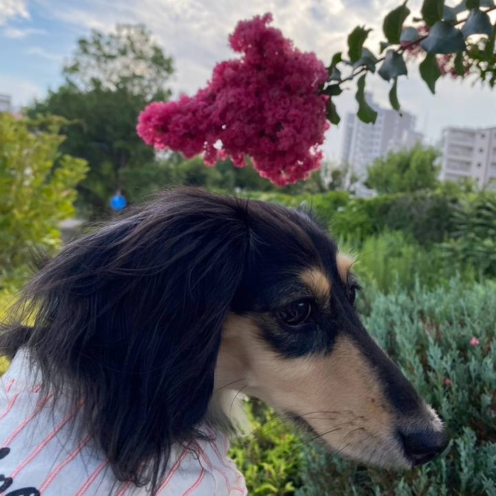 Eeaf8133 b5bb 454a aaea 310b483ae721 1754521459175