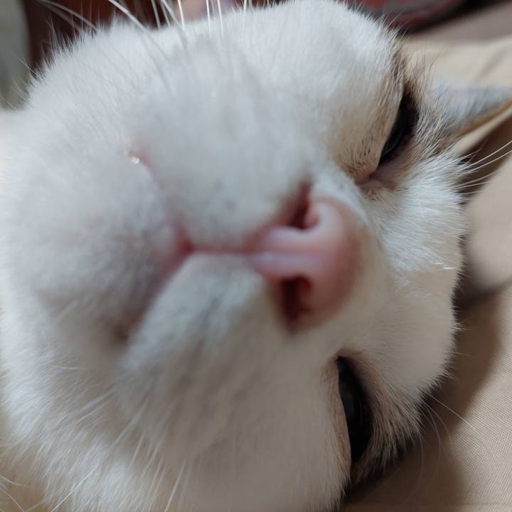 Eeaf8bc5 fba1 47c0 af8f 780063baba9d 1625398202606