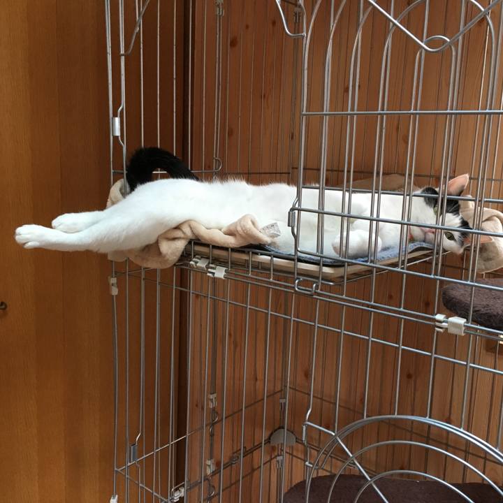 Eeaf8e62 9b64 4fdc b240 8b862b4d8b31 1556692529988