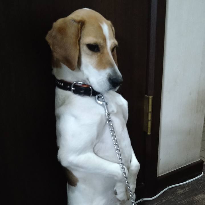 Eeafad38 b74f 46f1 a63f 6a263dc337e0 1621433439057