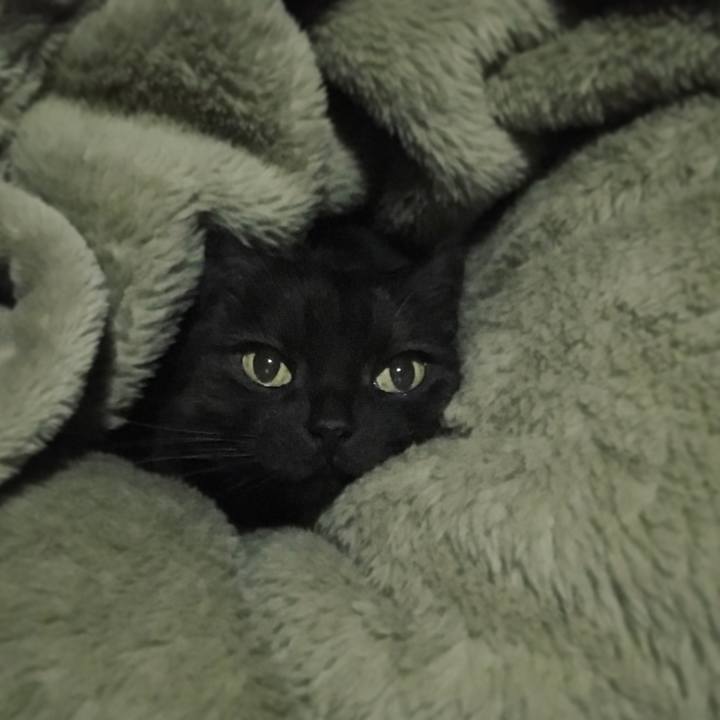 Eeafaf84 fecc 4e25 9e23 15a40565517c 1511359589038