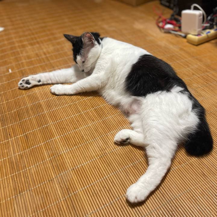 Eeafb295 7dc3 49c8 99f2 2ea964211df8 1664925787258