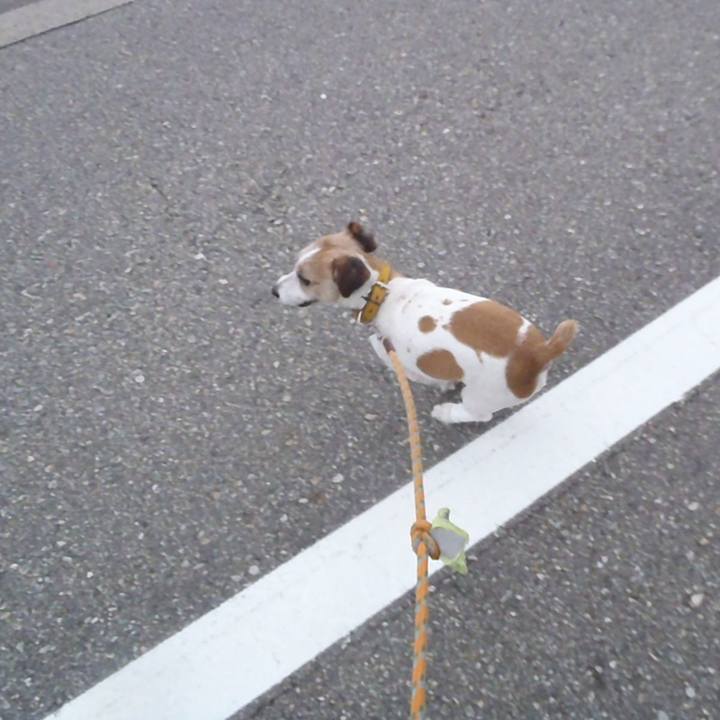 Eeafca31 5618 4e9e a7a3 a4c5790982e0 1523445539123