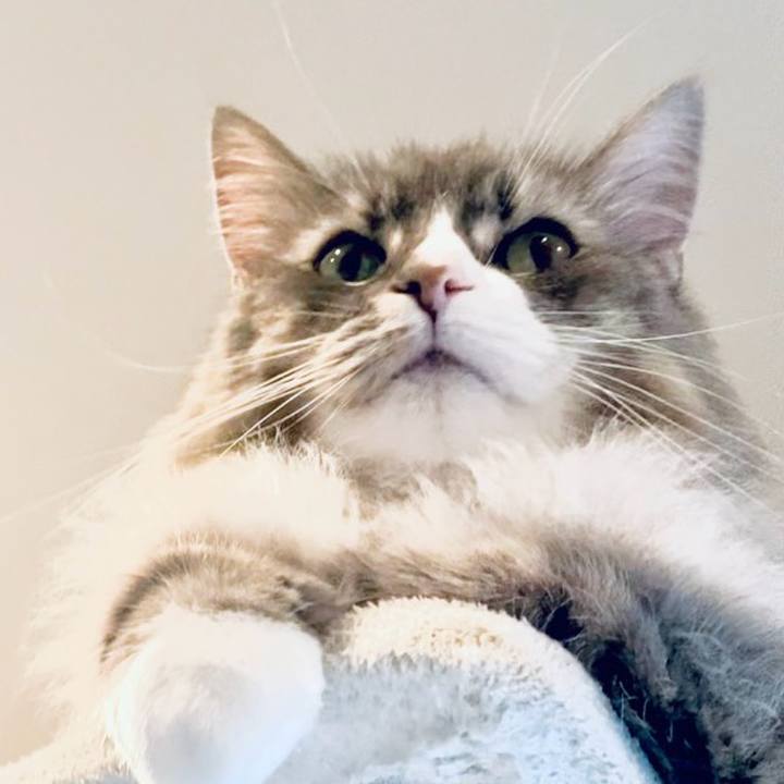 Eeb0052b 5fbd 4a36 a9e2 d09b40329afb 1751384676543