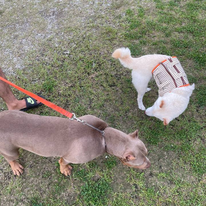 Eeb028ef cb0d 4695 b4ac 33af1585ccd9 1655471939308