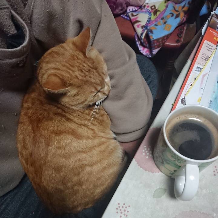 Eeb0298e f1fd 44cb 9166 3e17540dbb33 1575575902596