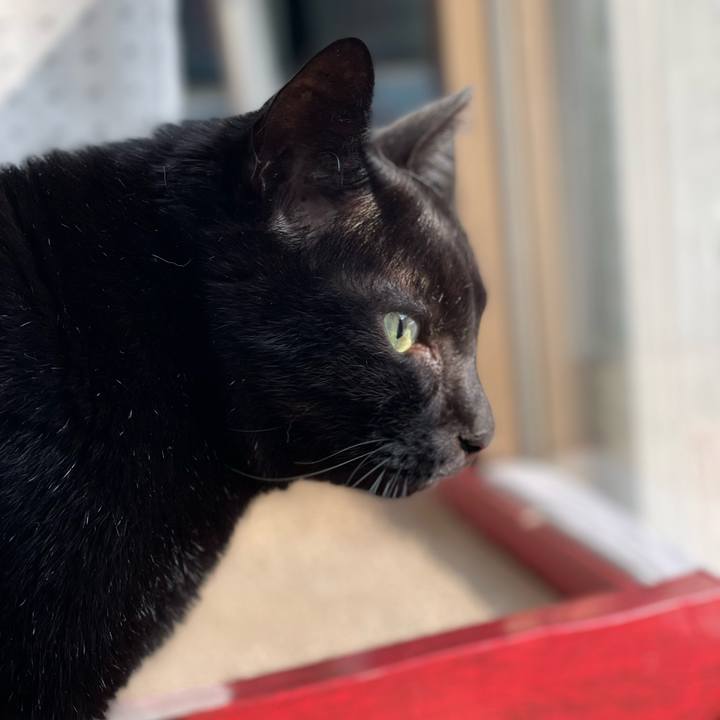 Eeb0575d 6bb8 44c4 b9de 70969cae0c59 1645926395365