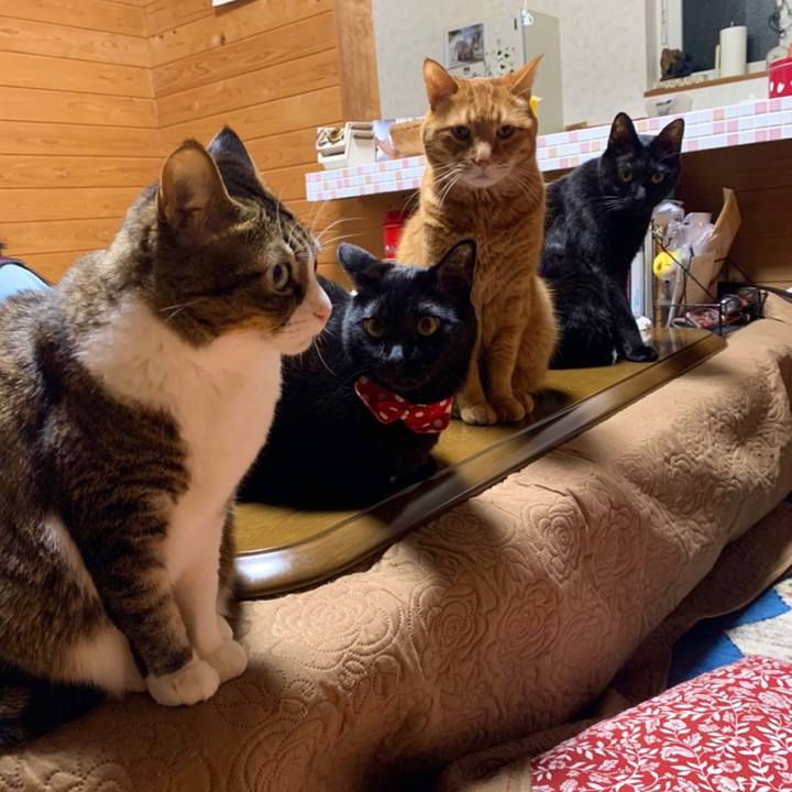 Eeb08545 cf56 4dc3 ab64 48f158ed10da 1609207404516