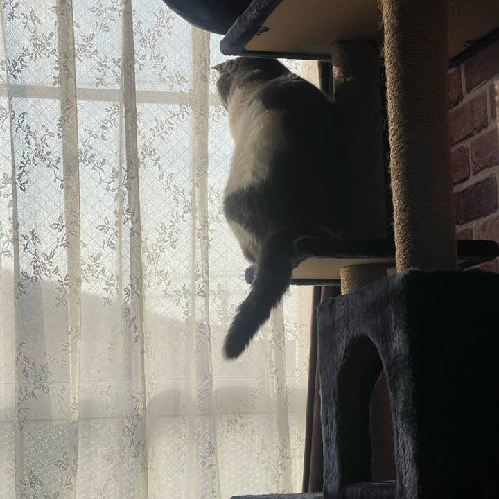 Eeb08753 30b0 4737 89e8 487c8b5fabd8 1701907105012