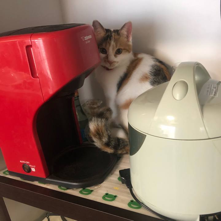 Eeb0a0e5 b3d8 49a0 bb18 92fab96cb59e 1572823407626