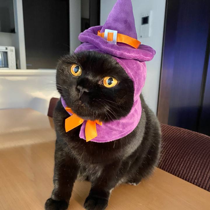 Eeb0a2a5 c0ec 4f83 a650 f26319c9e2ed 1667172720631