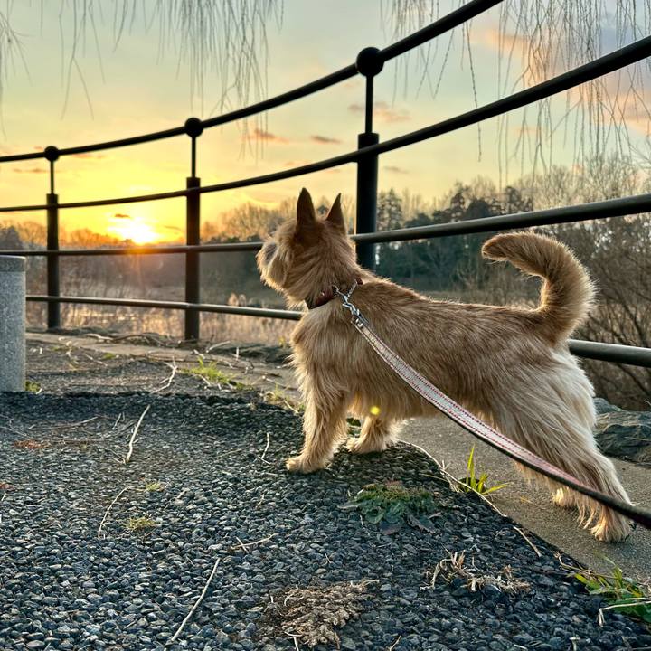 Eeb0e4b1 0d0c 4a48 8d51 4ddad0e78e64 1739826770412